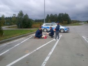 Działa Roadpol Safety Days