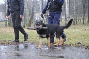 Dni Otwarte Komendy Wojewódzkiej Policji w Kielcach z udziałem staszowskich uczniów