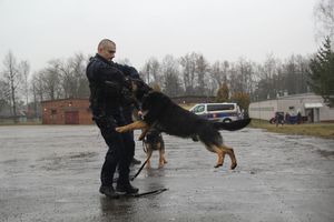 Dni Otwarte Komendy Wojewódzkiej Policji w Kielcach z udziałem staszowskich uczniów