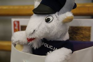 Bezpieczeństwo w ruchu drogowym