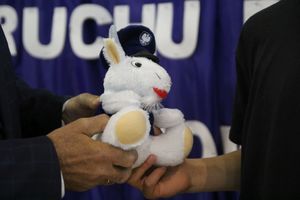 Bezpieczeństwo w ruchu drogowym