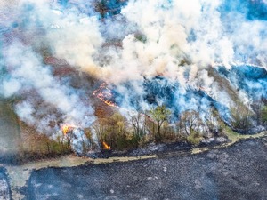 Wypalanie traw jest niebezpieczne i niedozwolone