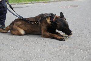 Pełna dziecięcej radości wizyta